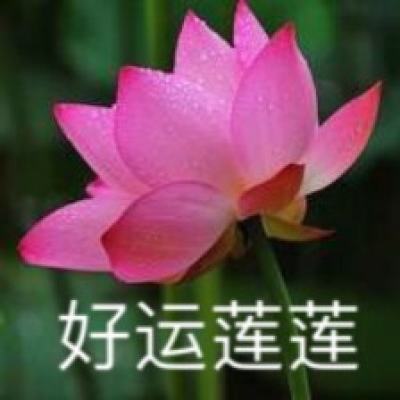 竹白即将关停，欢迎关注公众号“偷懒爱好者” 或使用 RSS 订阅我！